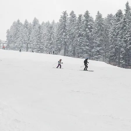 Apartment Sloneczny Chelm - Apartamenty W Gorach, Prywatna Sauna Jacuzzi Balia W Cenie, Spa, Grill, Stok Narciarski Myslenice, Sciezki Rowerowe, Rzeka Raba, Widok Na Tatry